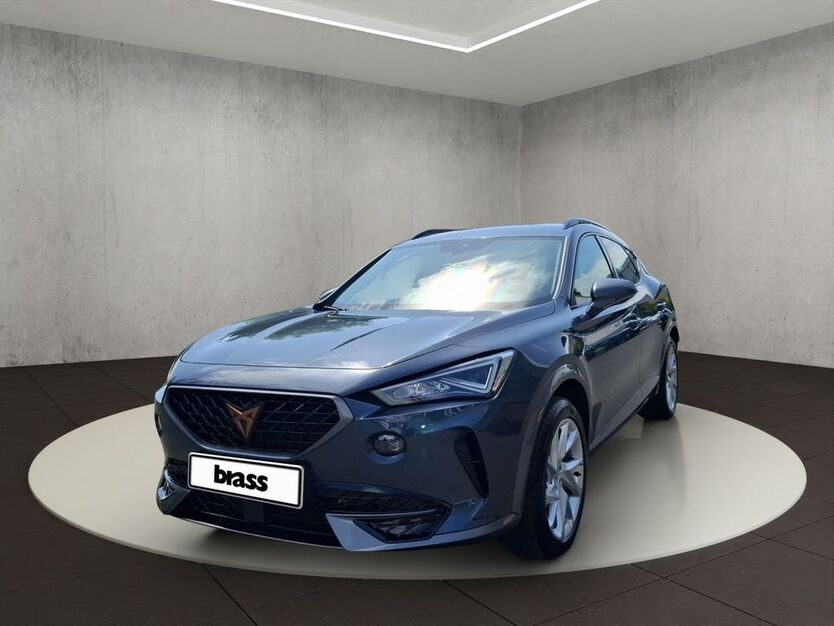 Cupra Formentor 39.184 km 27.450 € Aschaffenburg 63739
