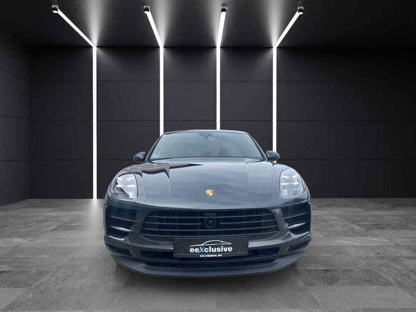 Macan