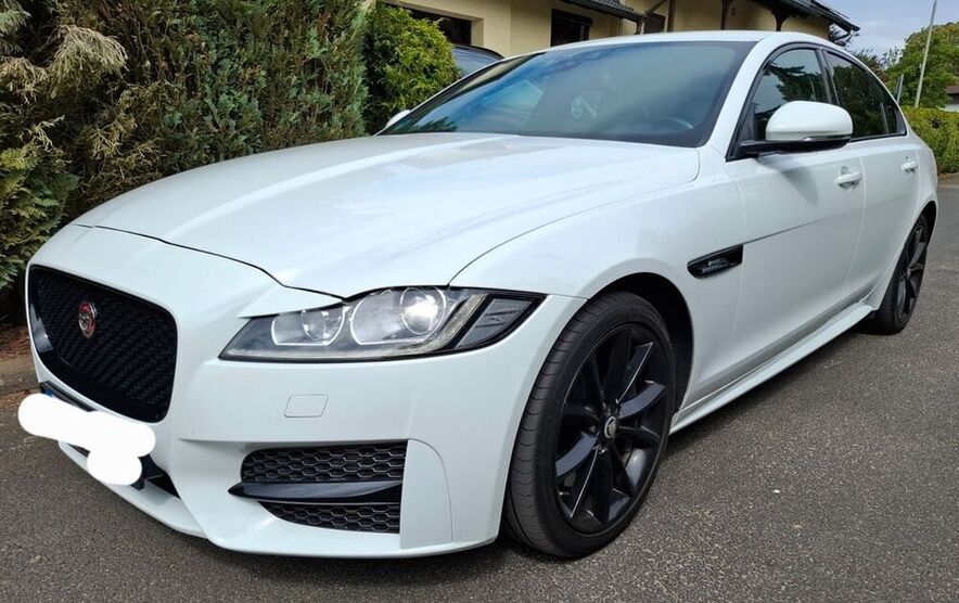 XF