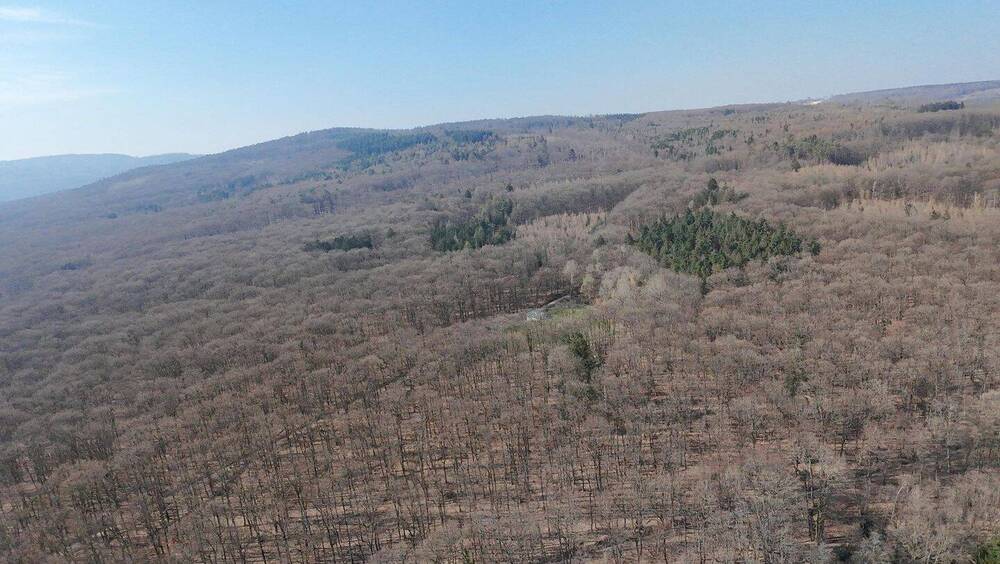 Grundstück Friedrichsdorf - 599.000&euro; | Angebot:26122743