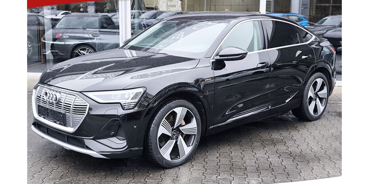 Audi e-tron 97.500 km 24.950 &euro; Dieburg 64807