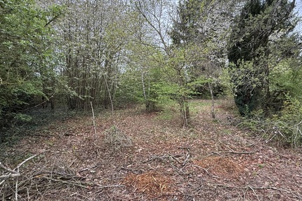 Kelkheim: Hier erfüllen Sie Ihren Traum! Idyllisches Grundstück im Wochenendgebiet - Grundstück Kelkheim | Angebot:26134206