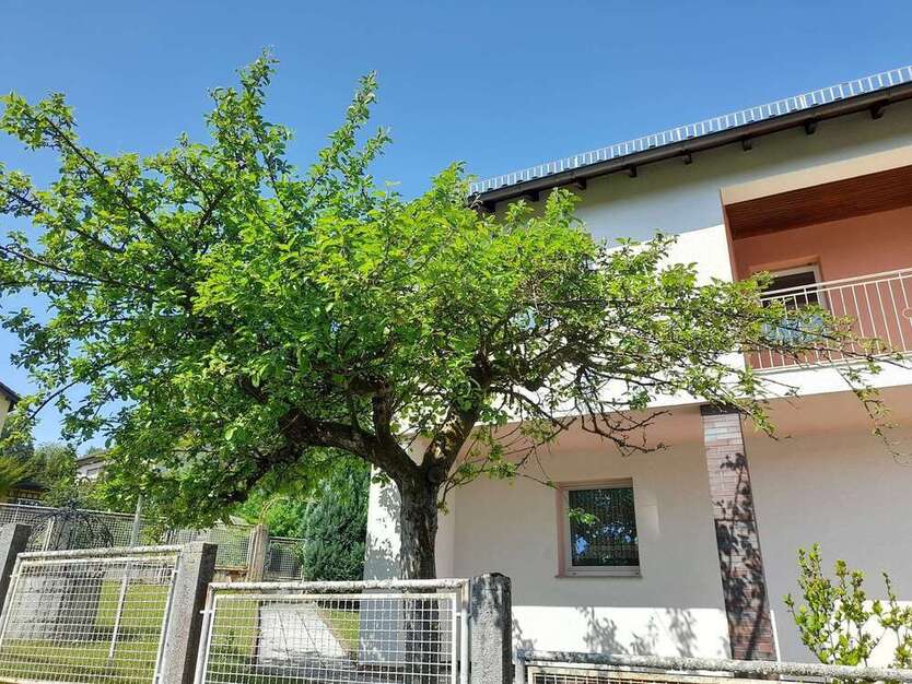 Haus zum Kaufen in Rodenbach 450.000 € 164 m²