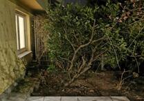 Traumhafte Wohnung mit eigenem Garten