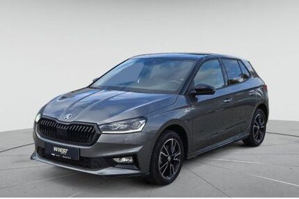 Skoda Fabia 19.742 km 23.280 &euro; Darmstadt 64295