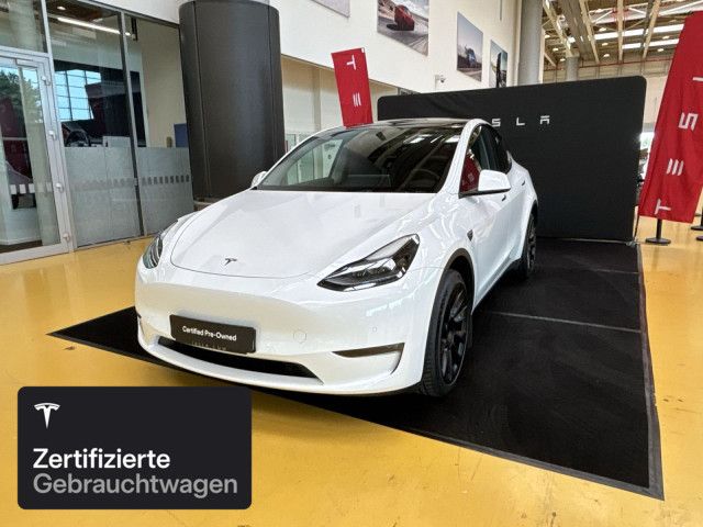 Model Y