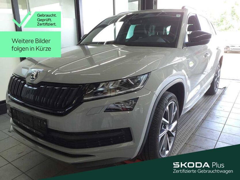 Skoda Kodiaq 62.500 km 35.888 € Mühlheim 63165