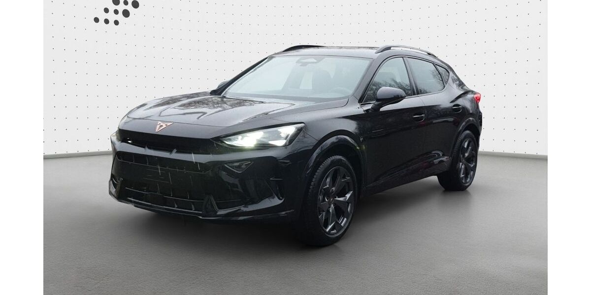 Cupra Formentor 3.500 km 43.700 &euro; Königstein 61462