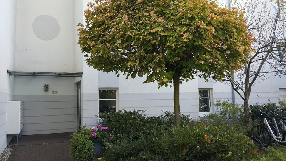Etagenwohnung Darmstadt Darmstadt-West - 1 Zimmer, 32 m&sup2;, 109.000&euro; | Angebot:23384775