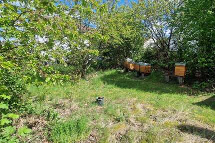 Grundstück Dreieich - 589.094&euro; | Angebot:26251629