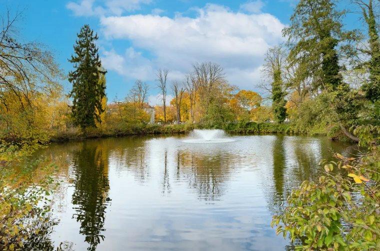 Etagenwohnung Offenbach am Main Bieberer Berg - 3 Zimmer, 103 m&sup2;, 625.000&euro; | Angebot:26234695