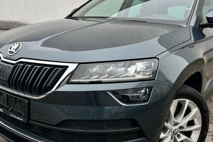 Skoda Karoq 168.100 km 16.990 &euro; Rüsselsheim 65428