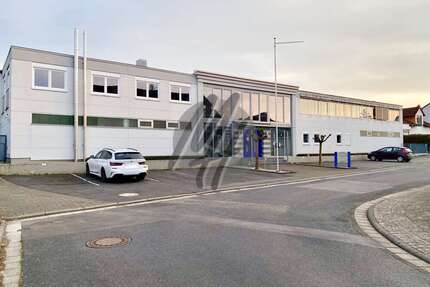 Halle in Hanau 2.700.000 € 4650 m²