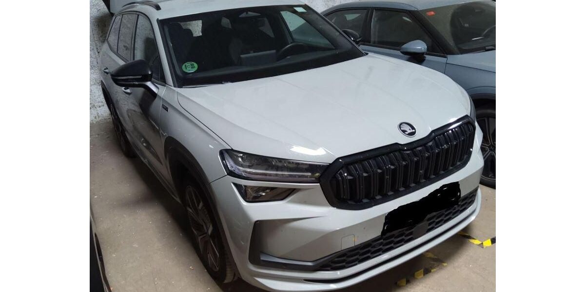 Skoda Kodiaq 35.377 km 39.980 &euro; Rüsselsheim 65428