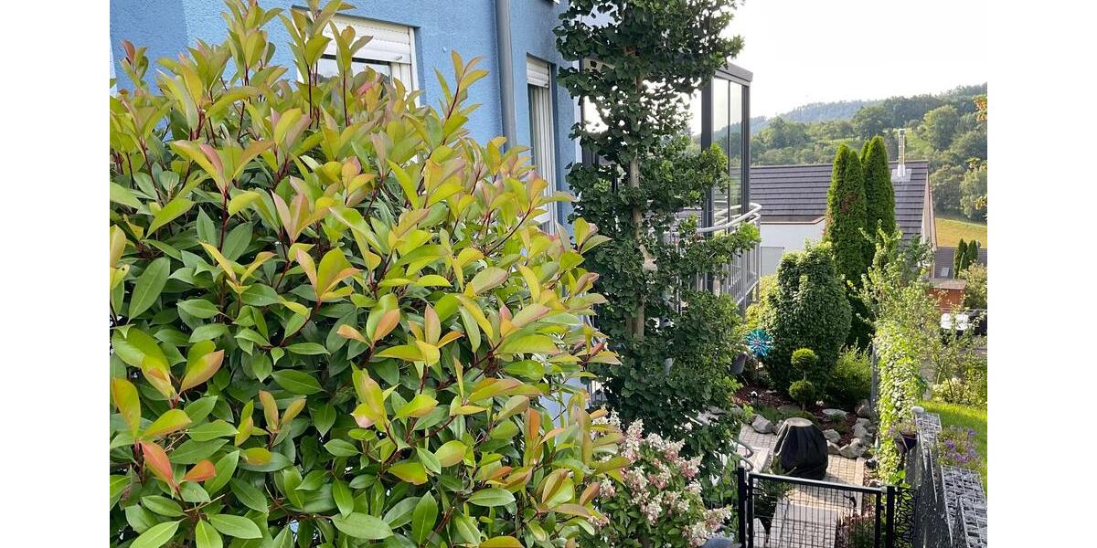 Attraktives Einfamilienhaus mit zeitgemäßem Wohnkonzept 4 zimmer