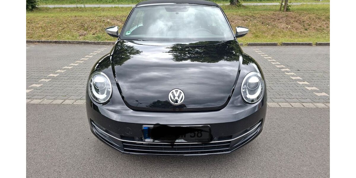 VW Beetle 50.100 km 16.400 &euro; Münster 64839