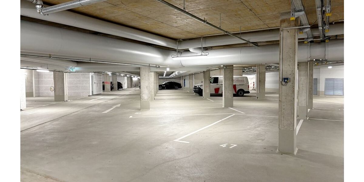 Helligkeit & Eichenholz: Barrierefreie 3-Zimmer-Wohnung mit West-Dachterrasse & Fernblick. - 3- Darmstadt Darmstadt/Vororte | Angebot:26221652