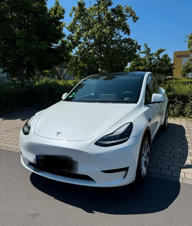 Model Y