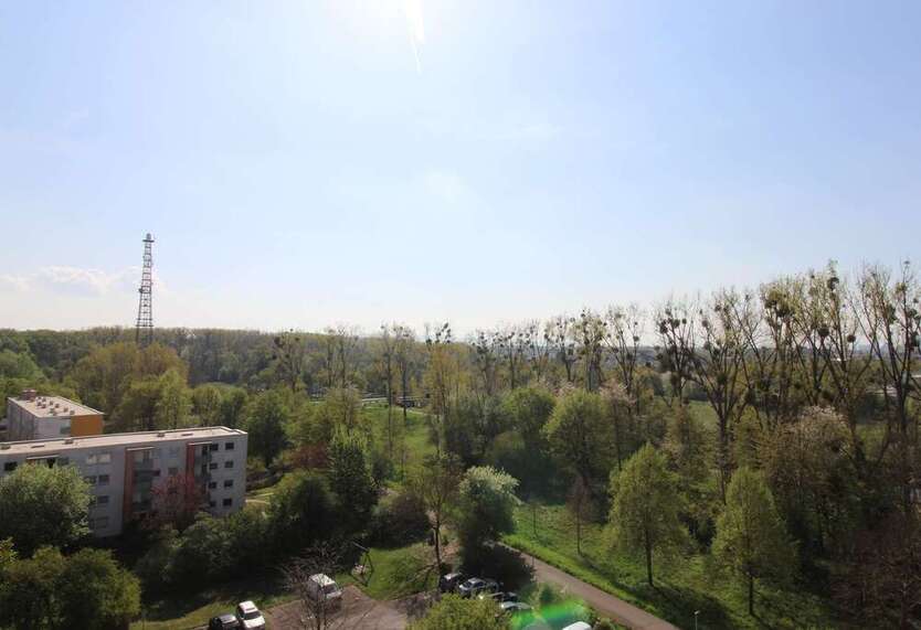 Wohnung zum Kaufen in Hanau 149.000 € 54.53 m²