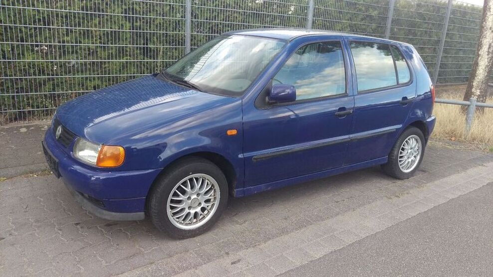 Polo
