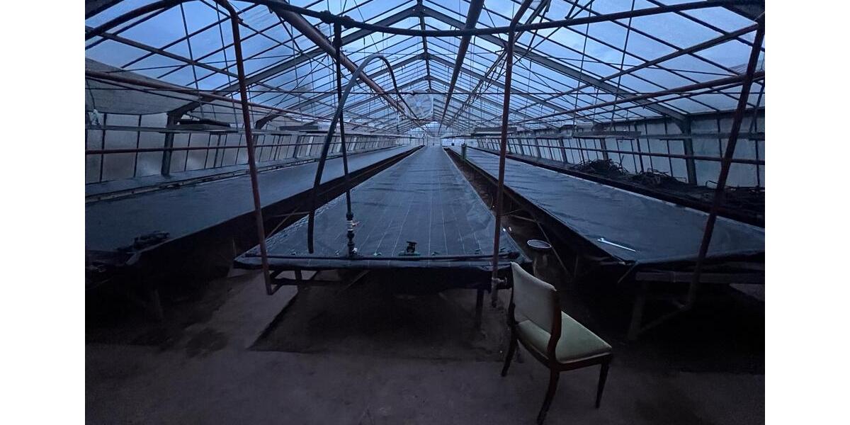 Zu vermieten Gewächshausflächen Anbauflächen ab 150qm zimmer