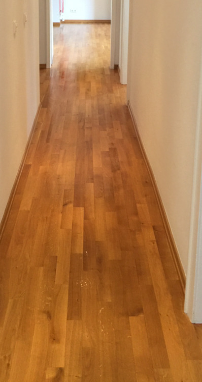 GroßWohnung in 60385