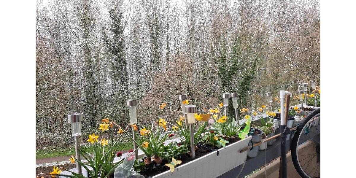 Etagenwohnung Groß-Gerau Gerau - 3 Zimmer, 86 m&sup2;, 250.000&euro; | Angebot:25280428