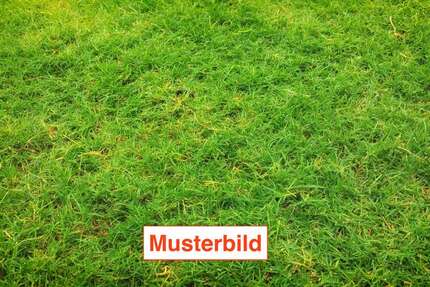 Grundstück Bad Nauheim - 330.000&euro; | Angebot:25422274