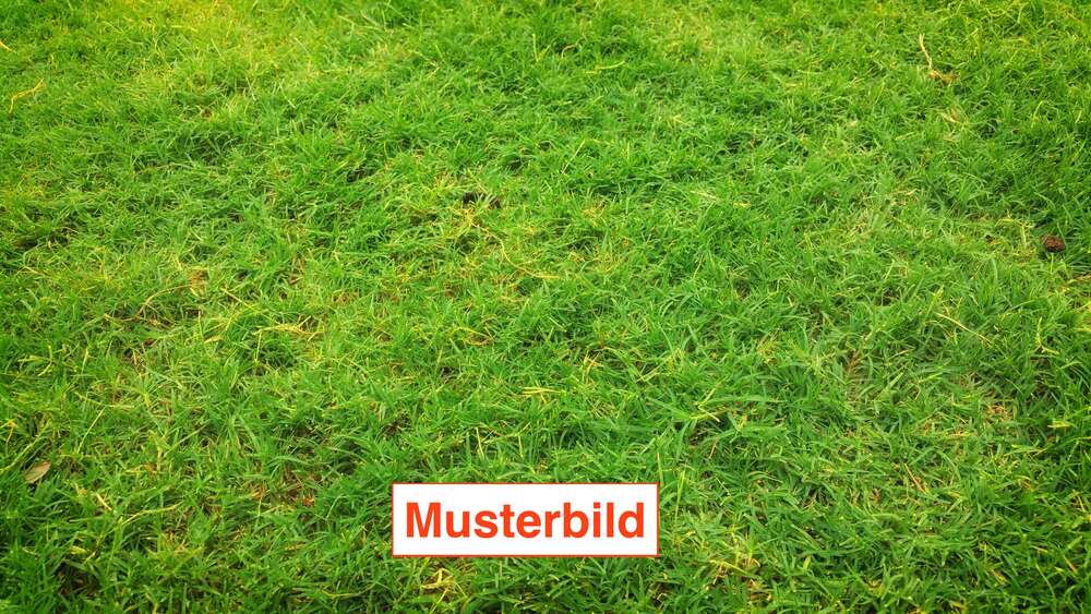 Grundstück Bad Nauheim - 330.000&euro; | Angebot:25422274