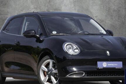 ORA Funky Cat 23.333 km 19.900 &euro; Kronberg 61476