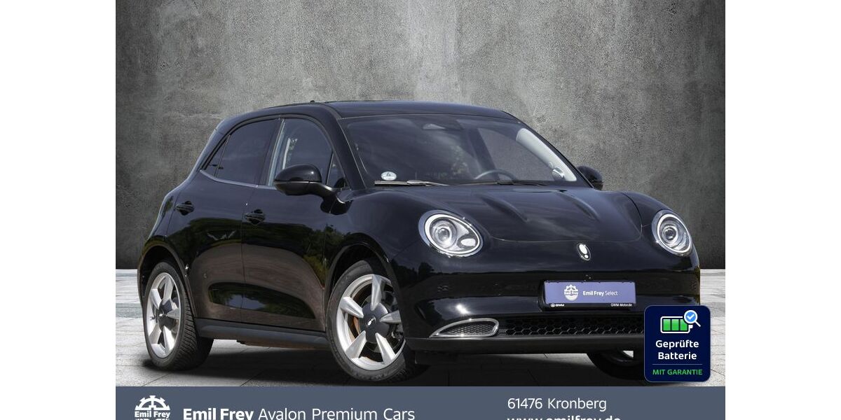ORA Funky Cat 23.333 km 19.900 &euro; Kronberg 61476