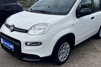 Fiat Panda 2.169 km 13.990 &euro; Bruchköbel 63486