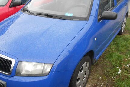 Skoda Fabia 171.983 km 989 € Wöllstadt 61206