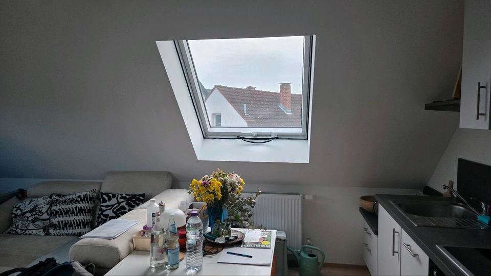 Dachgeschoßwohnung Darmstadt Darmstadt-Nord - 2 Zimmer, 49 m&sup2;, 870&euro; | Angebot:25960489