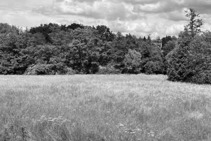 Grundstück in Frankfurt am Main 4.200.000 € 5084 m² zimmer