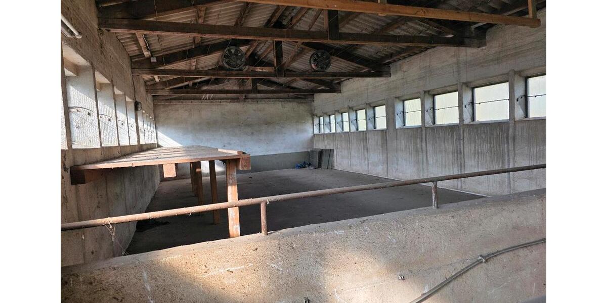 Gewerbeobjekt Schöneck - 2.400&euro; | Angebot:26199740