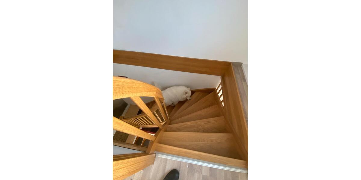 Dachgeschoßwohnung Friedberg (Hessen) - 3 Zimmer, 67 m&sup2;, 900&euro; | Angebot:26283683