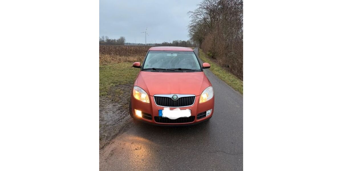 Skoda Fabia 273.000 km 1.990 &euro; Eschborn 65760