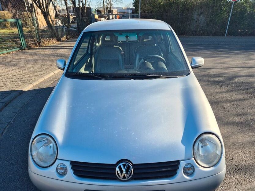 Lupo