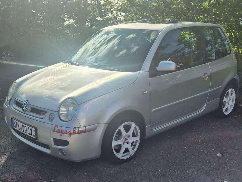 Lupo