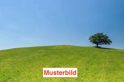 Grundstück Frankfurt Bergen-Enkheim - 740.000&euro; | Angebot:26268485