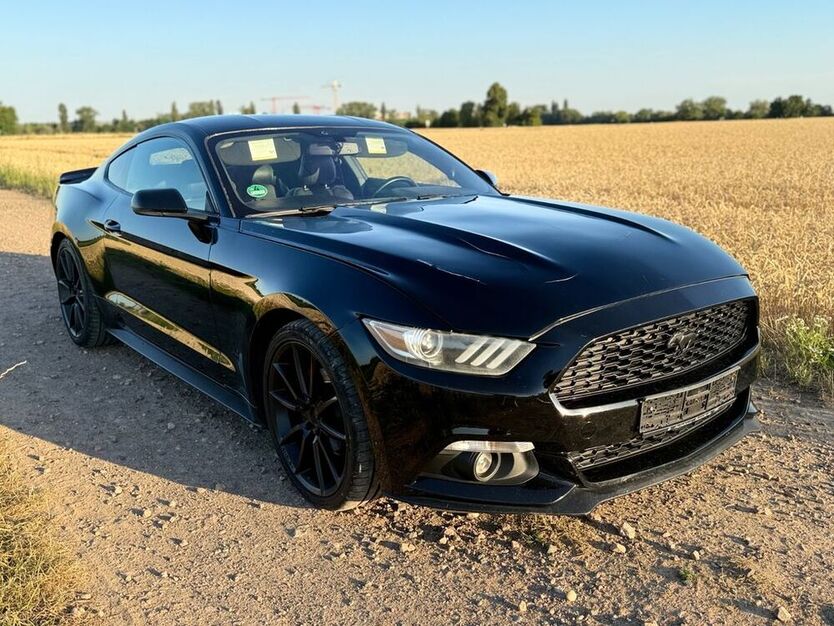 Mustang