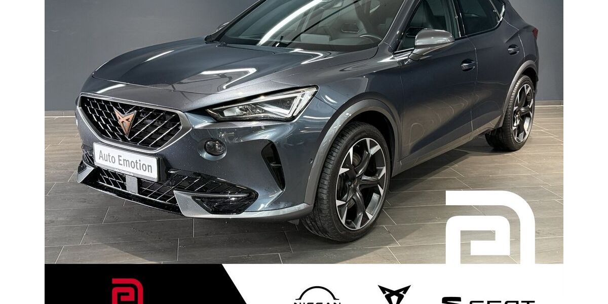 Cupra Formentor 51.224 km 28.805 &euro; Offenbach 63069