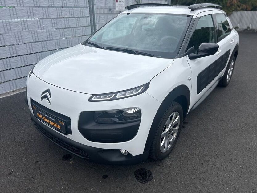 C4 Cactus