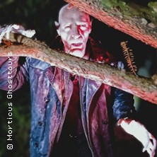 Nosferatus Auferstehung 25.04.2026 U-Bahn-Haltestelle Niddapark, Treppe nach unten