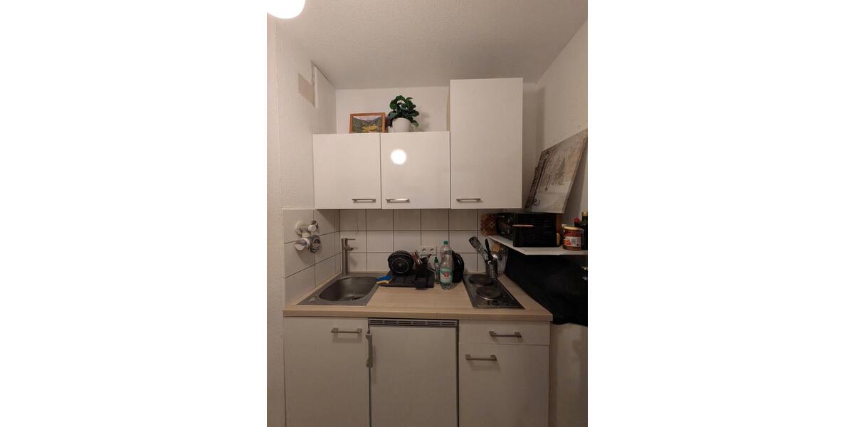 Dachgeschoßwohnung Darmstadt Darmstadt-Nord - 1 Zimmer, 19 m&sup2;, 390&euro; | Angebot:26236802