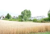 Grundstück zu verkaufen in Habitzheim 181.000 € 475 m²