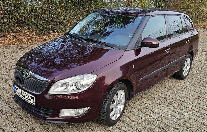 Skoda Fabia 202.000 km 2.999 € Darmstadt 64291