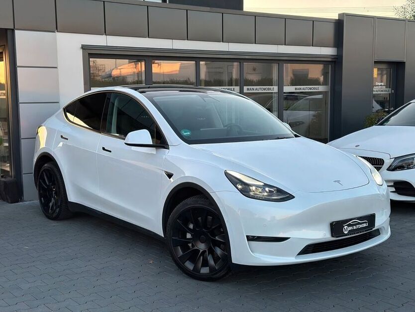 Model Y
