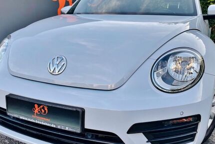 VW Beetle